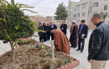 کاشت دو اصله نهال در محوطه دانشگاه جامع علمی کاربردی استان قزوین به مناسبت روز درختکاری