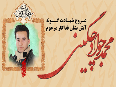 عروج شهادت گونه محمدجواد چگینی دانشآموخته دانشگاه جامع علمی کاربردی استان قزوین حین عملیات اطفاء حریق