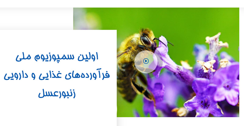 پذیرش مقالات دانشجویان مرکز آموزش علمی کاربردی علوم و فنون قزوین در اولین سمپوزیوم ملی فرآوردههای غذایی و دارویی زنبور عسل